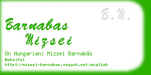 barnabas mizsei business card