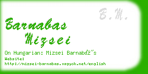 barnabas mizsei business card